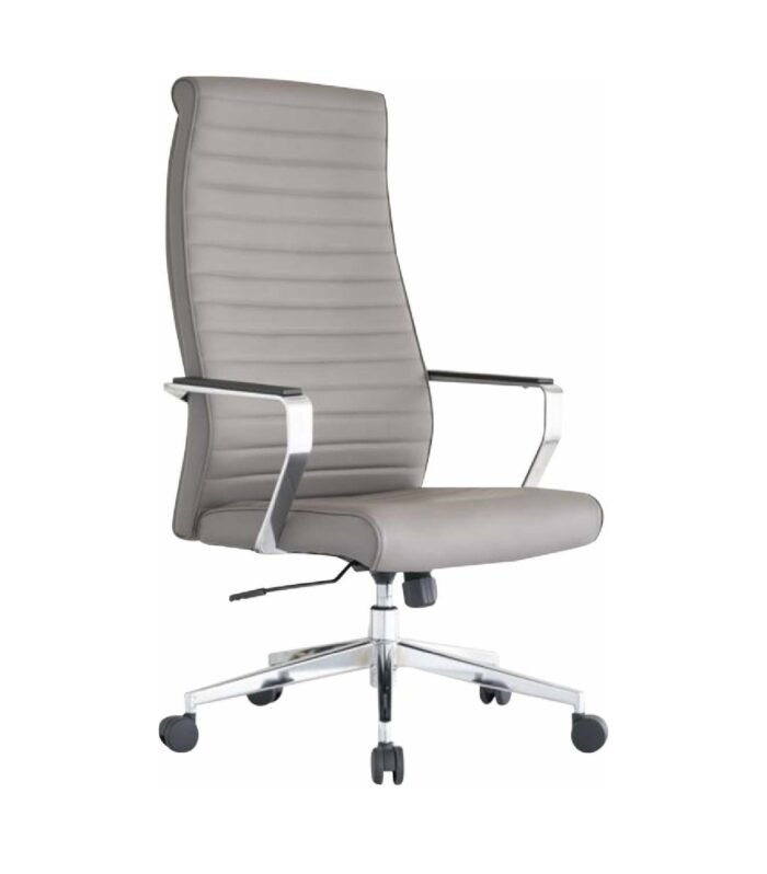 VIRGO HB (GREY) (IMP)-1