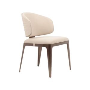 Dinning Chair-1