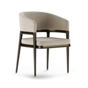 Dinning Chair-12