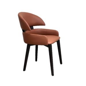 Dinning Chair-13