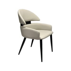 Dinning Chair-14