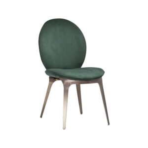 Dinning Chair-2
