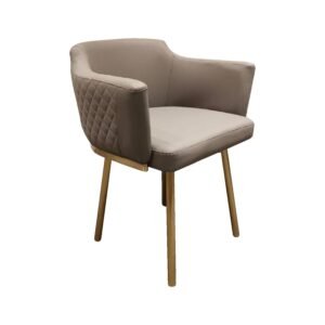 Dinning Chair-21