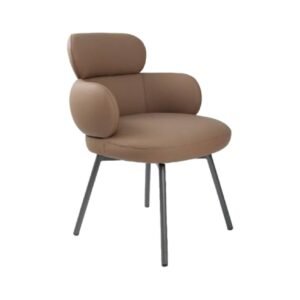 Dinning Chair-29