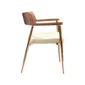 Dinning Chair-5