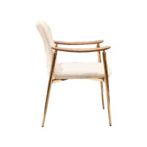 Dinning Chair-6