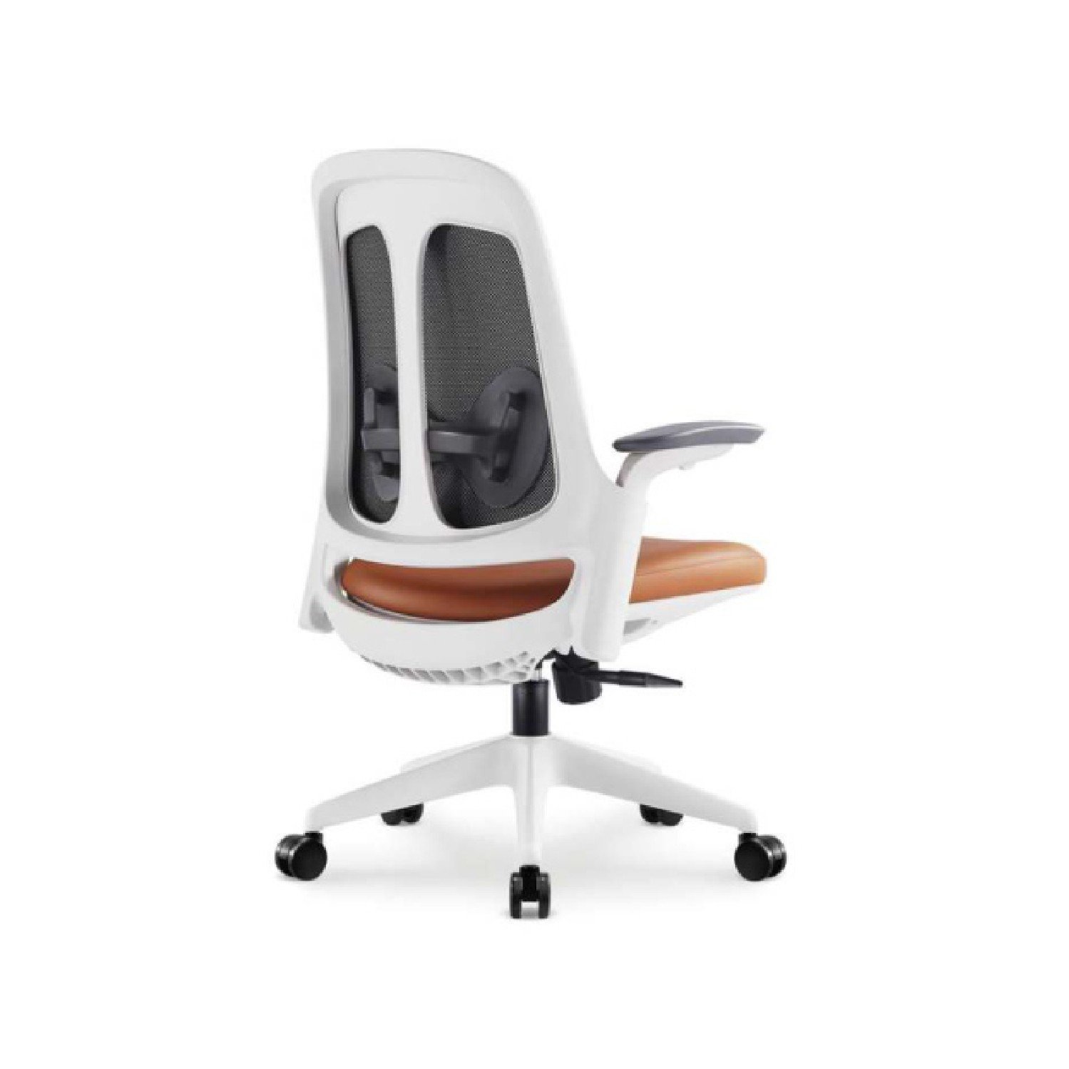 ACOSTA HB (IMP) - Image 2