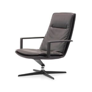 Lounge Chairs-20
